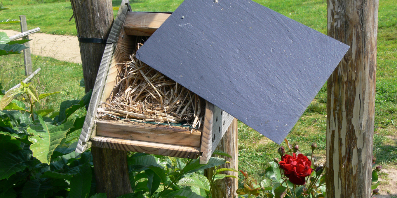 Gîte à coccinelles (son ouverture montre la paille sèche à l'intérieur), dans le potager © Aymeric Delporte